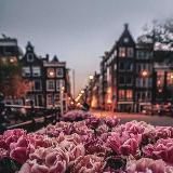 Моя планета🫀