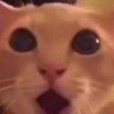 В тихом омуте алкоголизма