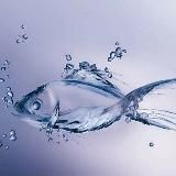 Аквариум - мое хобби🇺🇿