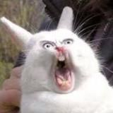 Седло всплыло