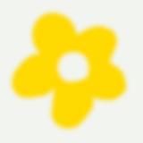 это лето фестиваль