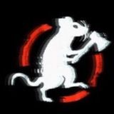 СВЕЖИЕ СЛИВЫ🗽