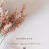 Мудрость ислама