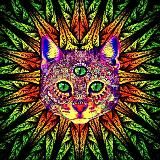 Славянская Аяваска | Аяхуаска | Аяуаска | Буфо Альвариус | Камбо | Сан-Педро