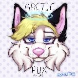 ˖⁺‧₊ArcticFux₊‧⁺˖