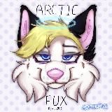 ˖⁺‧₊ArcticFux₊‧⁺˖
