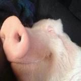 Драгон Мани ️️DRAGON MONEY