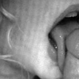 д а р к | и п в т