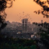 🖋𝒂𝒍-𝑸𝒐𝒍𝒂𝒎