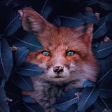 🐱 Всё о животных 🐶