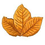 RAZVES3.RU ТАБАК В РАЗВЕС