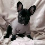 Французская булочка 🥐