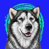 HUSMUT 🤩 H$MT Token 🤩 ХАСМУТ