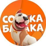 Собака бабака