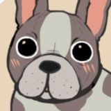 Чат любителей французских бульдогов