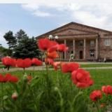 НОВОМЫШАСТОВСКИЙ ДОМ КУЛЬТУРЫ 🏛🎶🎤