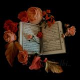 Коран (перевод)