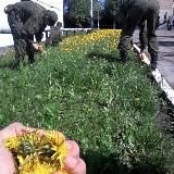 Без призыва🇺🇦