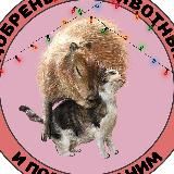 добренькие животные и подписи к ним