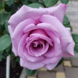 Доброе зеркало🪞