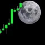 FREE AIRDROP MARKET🦊