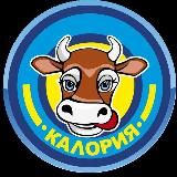 Фирма «Калория» (молоко, кефир, сметана, сыры с плесневой культурой)
