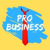 PRO Z Бизнес | ПИТЕР