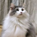 Избранное