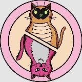 Код Шрёдингера | IT