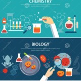 Chemistry&Biology Quizzes