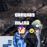 Спецназ тыла