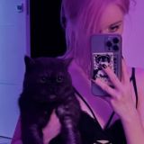 стримы авдеич каждый день)