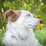 БУБЛГУГЛ ЧАТ✨