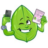 Отрисовка документов/СС/Селфи – Подорожник