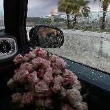 ٢