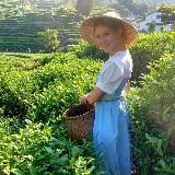 Нейрокоуч в Китае: Мозг, Коучинг, Восток