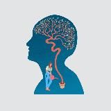 Психология | Саморазвитие