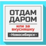 Отдать даром Новосибирск