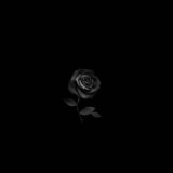 КРАСОТА ДУШИ