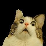 Улëт_юморОк_Стикеры