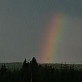 База мошенников