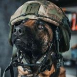 Нестабилочка 👽