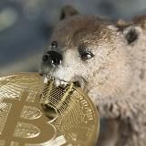 Наше дело😎