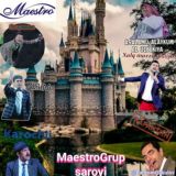 MaestroGrup