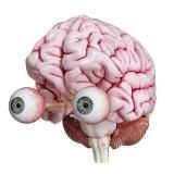 Мозг Ящер Инвест 🐙 облигации, акции, ЦФА