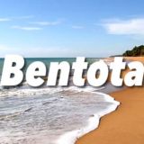 Бентота - юг Чат 🐒🧘♂🚣♂ Шри Ланка