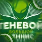 🎾Теневой Большой Теннис 🎾