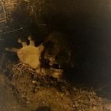 ☠️𝐌𝐄𝐓𝐀𝐋𝐋𝐎𝐒☠️𝐌𝐄𝐍𝐔☠️