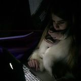 Жизнь админа🤷🏼♀️