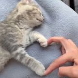 Комменты👼🏻💸🕯